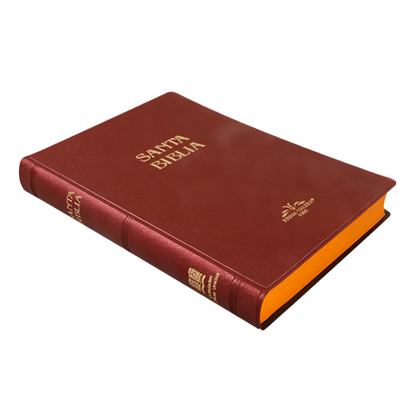 Biblia Reina Valera 1909 Mediana Letra Mediana Vinil Vino [VR052]