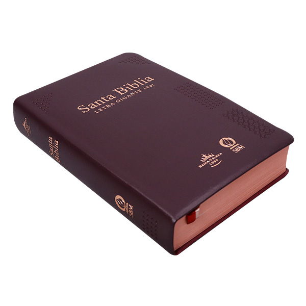 Biblia Reina Valera 1960 Mediana Letra Gigante Vinil Vino Canto Cobre Afinidad  RVR062cLGiPJR-MEX