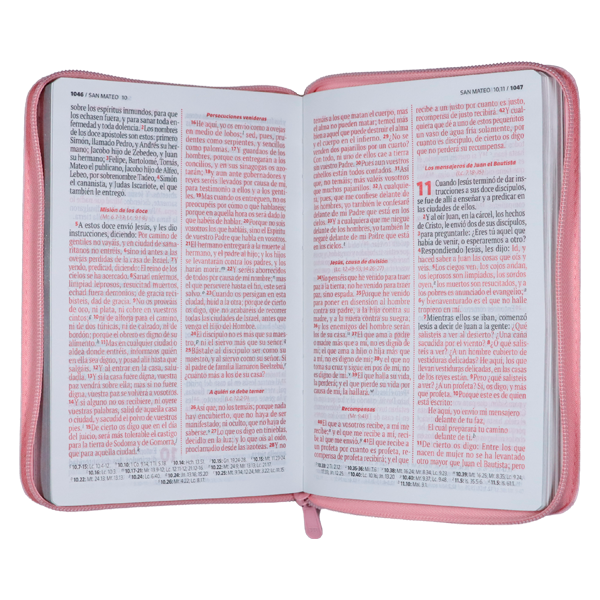 Biblia Mujer Virtuosa Reina Valera 1960 Mediana Letra Grande Imitación Piel Rosa Cierre PJR [RVR066ZLGPJR] 