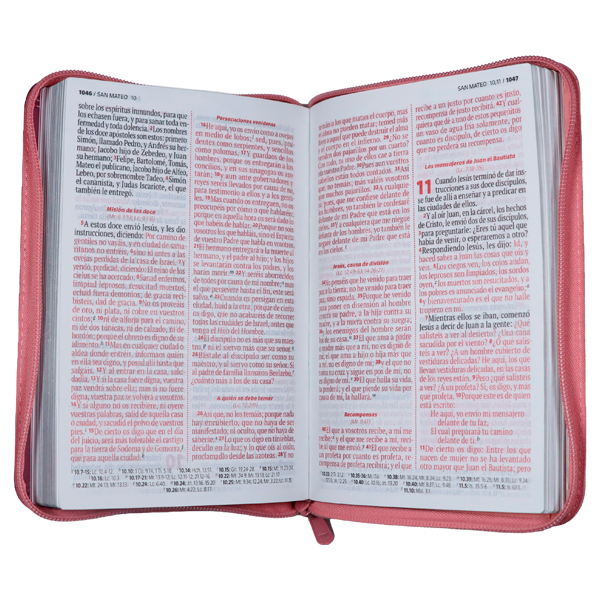 Biblia Vive la Palabra Reina Valera 1960 Mediana Letra Grande Imitación Piel Fucsia Cierre PJR [RVR066LGZTPJR] 