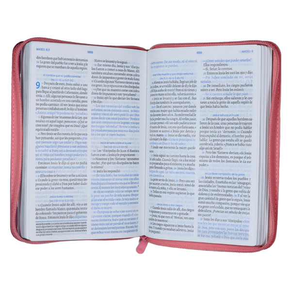 Biblia Vive la Palabra Traducción Lenguaje Actual Mediana Letra Grande Imitación Piel Rosa/ Fucsia Cierre [TLA.66LGZT] 