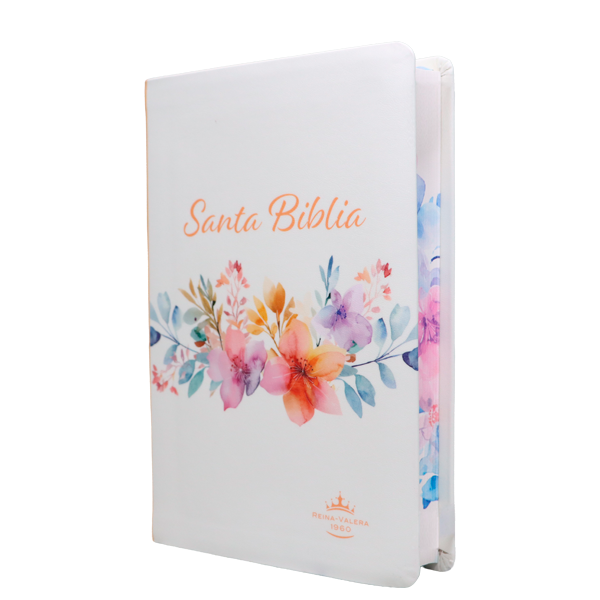Biblia Reina Valera 1960 Mediana Letra Gigante 14 pts Imitación Piel PU RVR065cLGiPJR Amaranth 