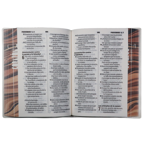 Biblia Reina Valera 1960 Chica Letra Grande 11 pts Vinil  RVR042cPJR Corazón 