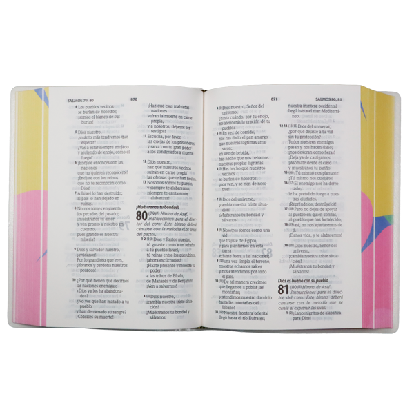 Biblia Traducción Lenguaje Actual Mediana Letra Grande 11 pts Vinil   TLA062LG Fleuron 
