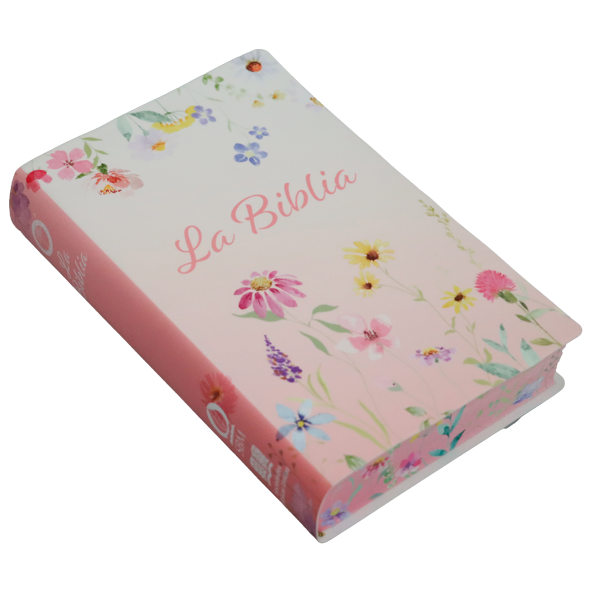 Biblia Traducción Lenguaje Actual Mediana Letra Grande 11 pts Vinil   TLA062LG Lustre 