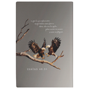 Biblia Traducción Lenguaje Actual Mediana Letra Grande 11 pts Vinil   TLA062LG Águilas 