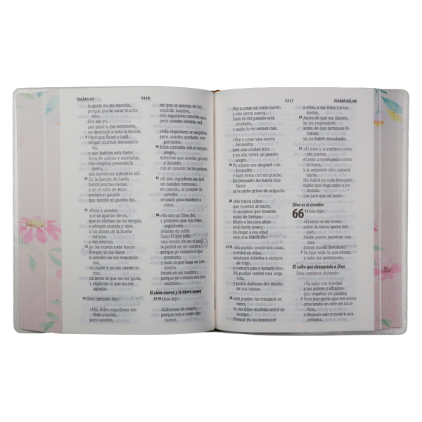Biblia Traducción Lenguaje Actual Chica Letra Grande 8 pts Vinil  TLA042LG Lustre 