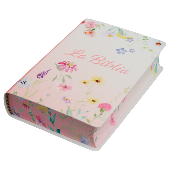 Biblia Traducción Lenguaje Actual Chica Letra Grande 8 pts Vinil  TLA042LG Lustre 
