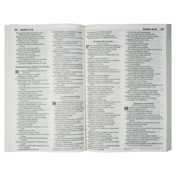 Biblia Misionera RVR060 Mediana Letra Mediana Fuerza Desde Lo Alto Tapa Rústica Nuevos Diseños