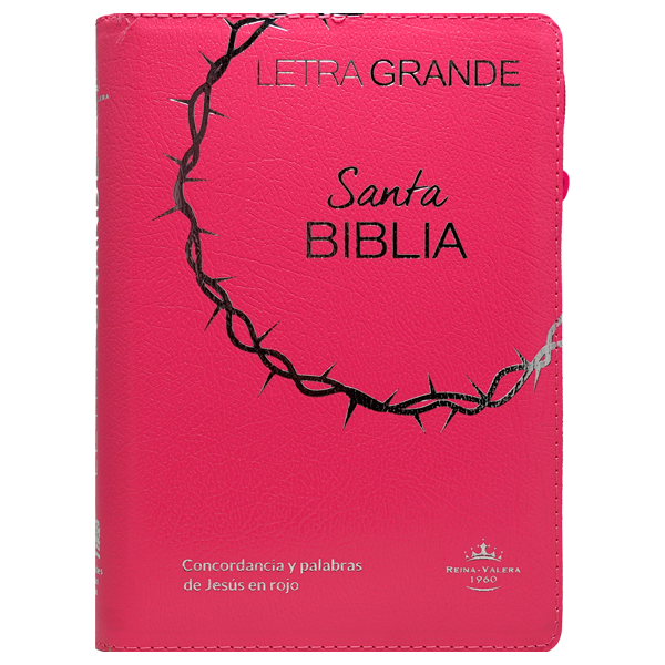 Biblia Reina Valera 1960 Mediana Letra Grande Covertex Rosa [RVR.65cLGPJRTIZ-GPR]