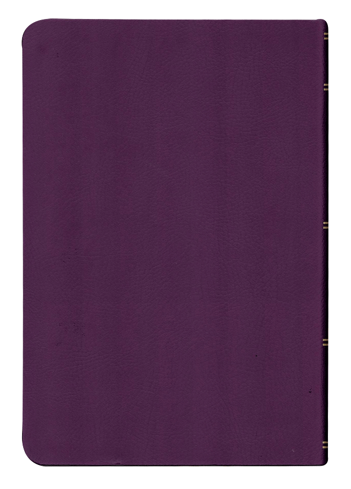CONTRAPORTADA