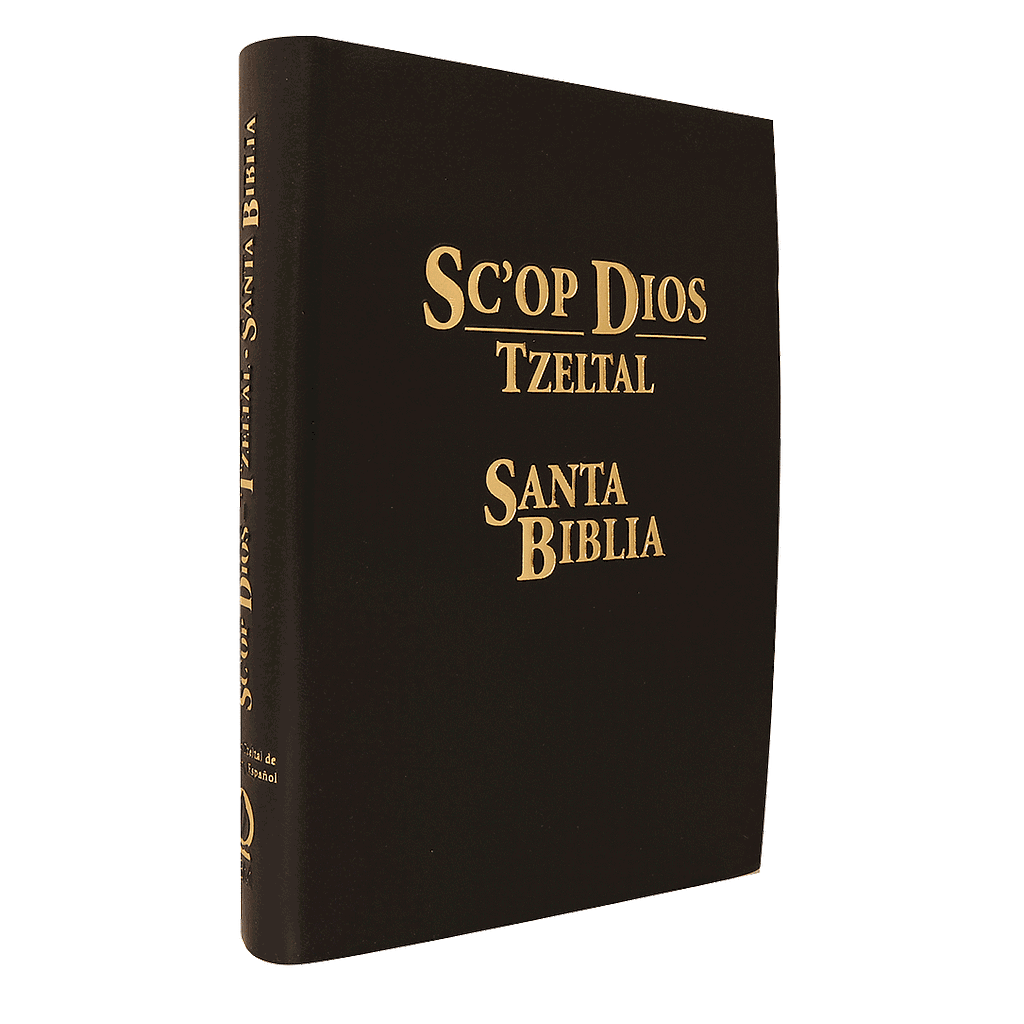 BIBLIA EN TZELTAL DE BACHAJON