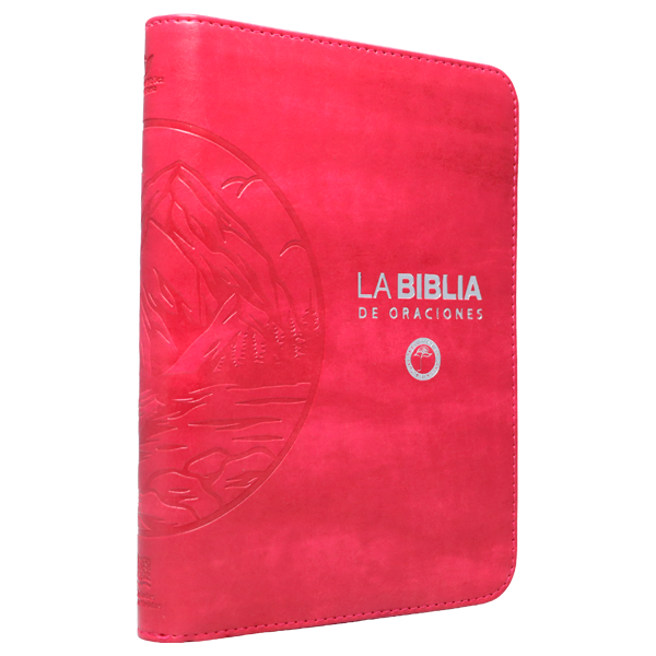 Biblia Oraciones Traducción Lenguaje Actual Mediana Letra Grande Imitación Piel Fucsia Cierre PJR [TLA066ZLGPJR]  