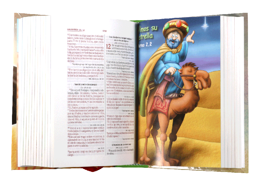 BIBLIA AMIGOS POR SIEMPRE RVR023cPLMPJR