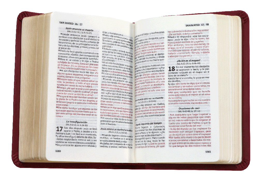 BIBLIA RVC025LGPJR BOLSILLO VINIL VINO