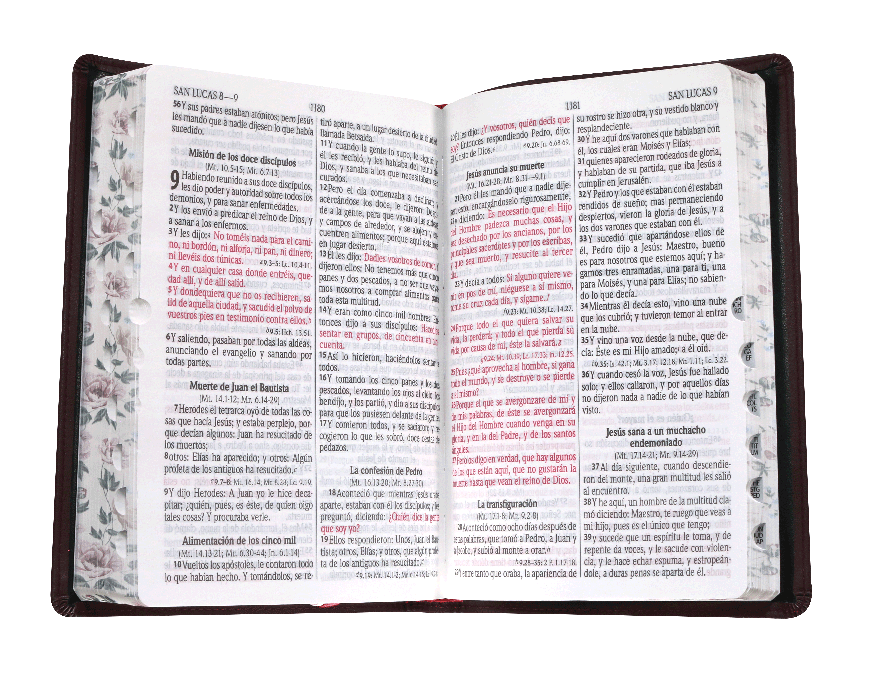 Biblia Reina Valera 1960 Mediana Letra Grande Morado Canto Floreado [RVR066cLPJRTI]