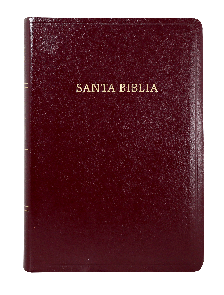 BIBLIA RV60 LG MANUAL IMIT VINO
