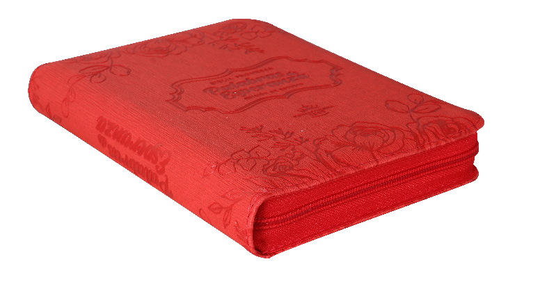 Biblia de Estudio Promesas Reina Valera 1960 Chica Letra Mediana Imitación Piel Rojo [RVR45cZEELM]