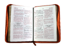 Biblia Reina Valera 1960 Chica Letra Mediana Imitación Piel Naranja Beige Código QR [RVR045cZLM]