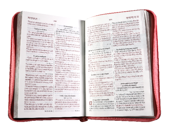 Biblia de Estudio Oraciones Reina Valera 1960 Mediana Letra Grande Imitación Piel Rosa Código QR [RVR056cZLGPJR]