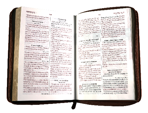 Biblia de Estudio Oraciones Reina Valera 1960 Mediana Letra Grande Imitación Piel Café Código QR [RVR056cZLGPJR]