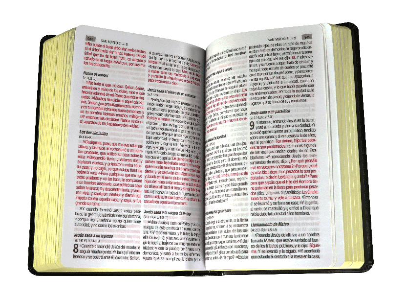 Biblia Reina Valera 1960 Tapa Dura Ilustrada Letra Grande [RVR063CLGPJR]