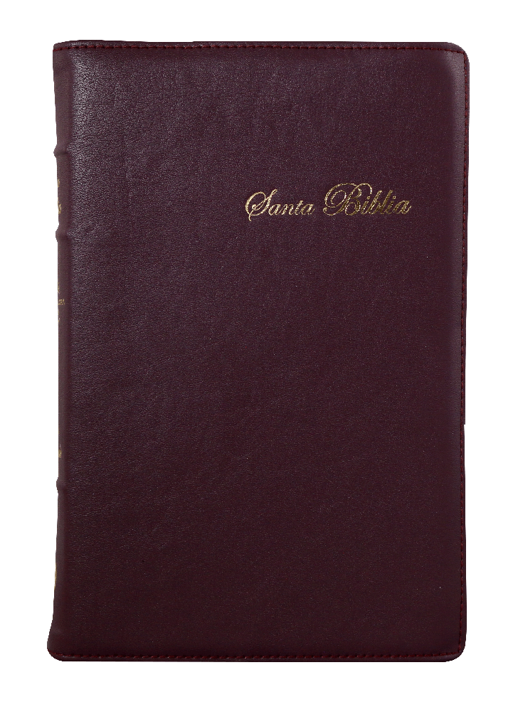 Biblia Reina Valera 1960 Mediana Letra Grande Rosa Canto Floreado [RVR066cLPJRTI]