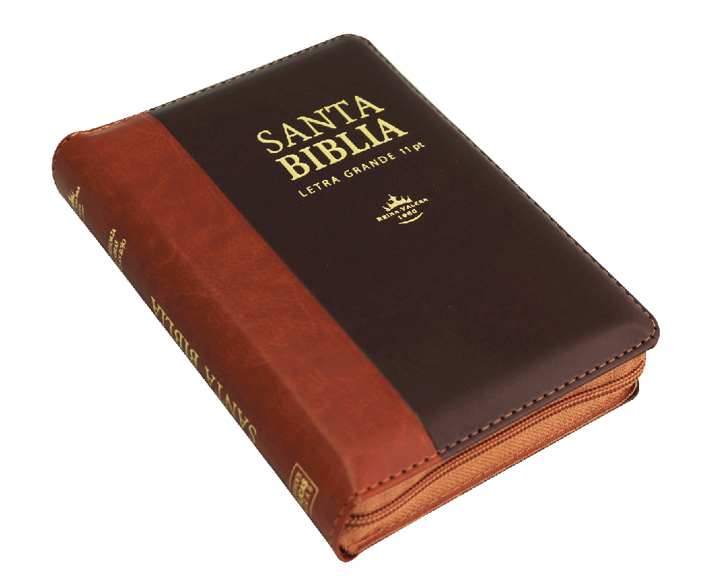 Biblia Reina Valera 1960 Letra Grande Café/Marrón [RVR046cLSGiPJRZTI]