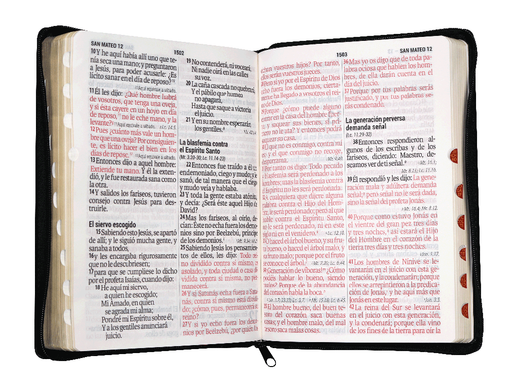 Biblia Reina Valera 1960 Letra Super Gigante Negra [RVR089cLSGiPJRZTI]