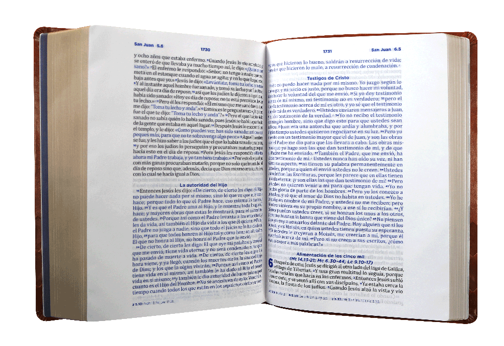 Biblia de Estudio Pastoral Ceremonias y Sermones Reina Valera Contemporánea Grande Letra Grande Imitación Piel Marrón [RVC086cLGPJR]