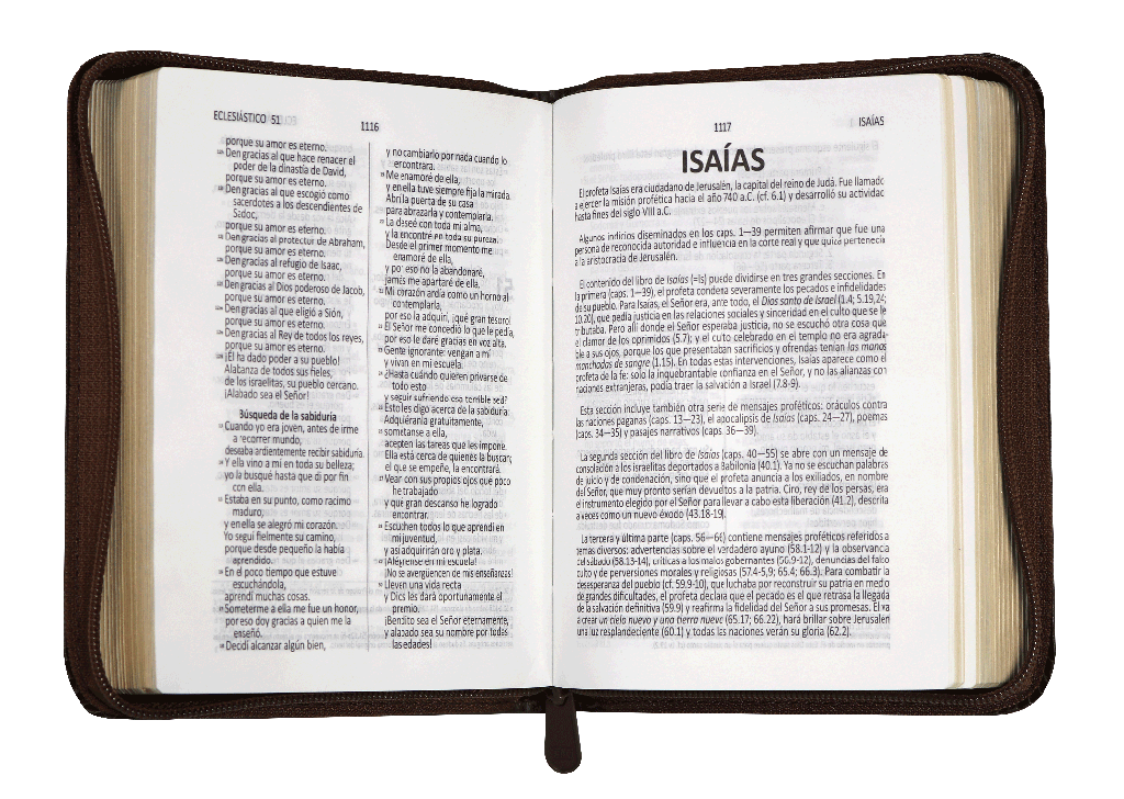 Biblia Dios Habla Hoy Bolsillo Letra Chica Imitación Piel Café [DHH025KZ]