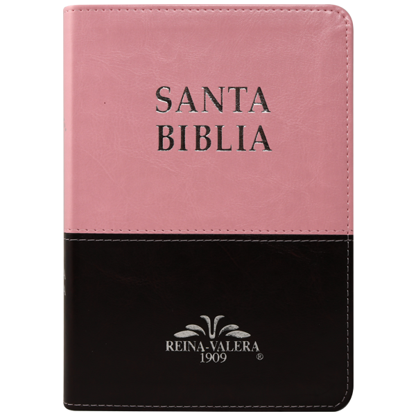 Biblia Reina Valera 1909 Mediana Rosa/Café VR055TI