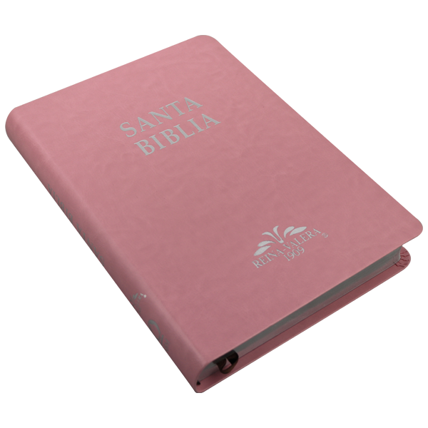 Biblia Reina Valera 1909 Grande Rosa [VR085LM]