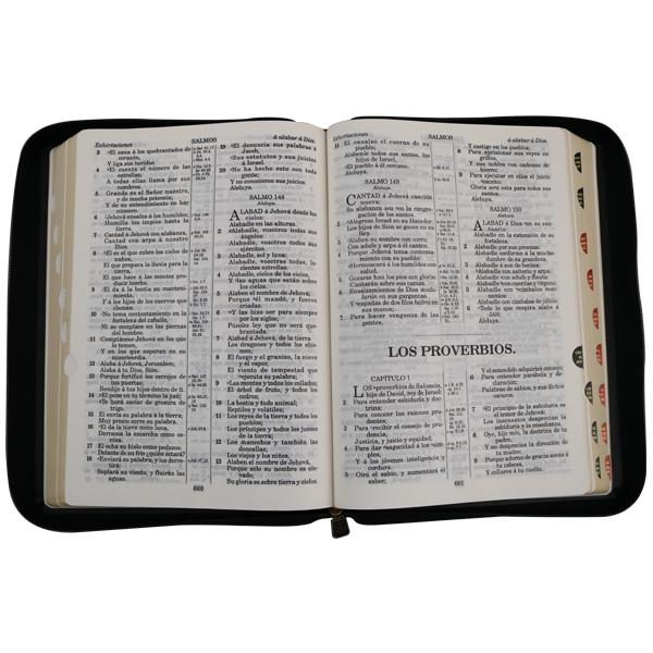 Biblia Reina Valera 1909 Grande Negro [VR085LMZTI]