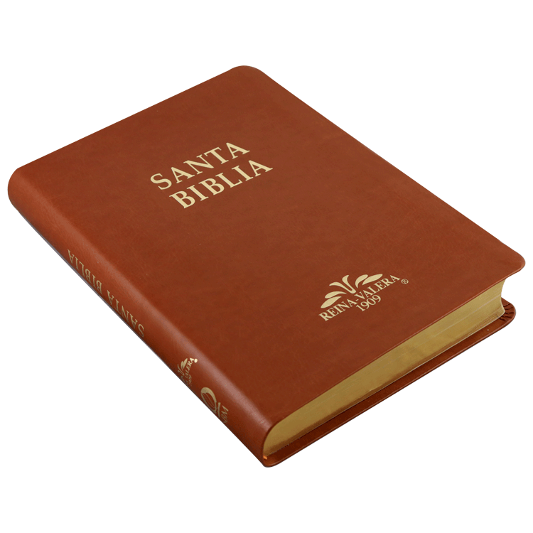 Biblia Reina Valera 1909 Grande Café [VR085LM]