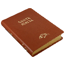 Biblia Reina Valera 1909 Grande Café [VR085LM]