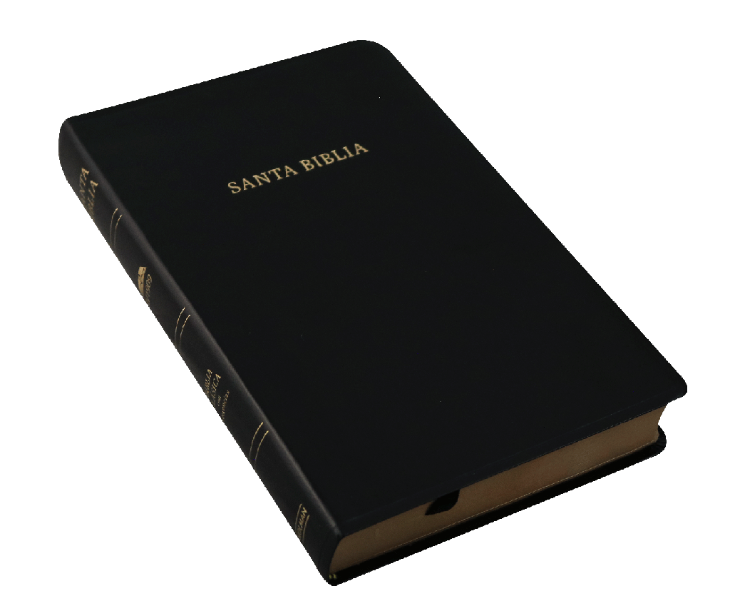 Biblia Clásica Reina Valera 1909 Con Referencias Negro Imitación Piel