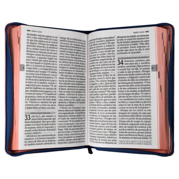 Biblia Reina Valera 1960 Mediana Letra Grande Imitación piel Rosa/Azul Código QR[RVR066ZLGPJR]