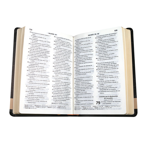 Biblia Reina Valera 1960 Mediana Letra Grande Imitación Piel Negro Mapa [RVR065LG AT] 