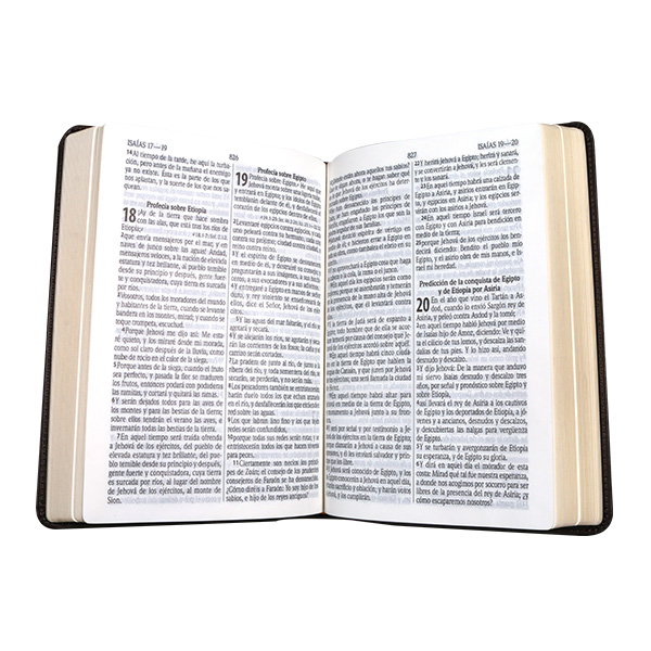 Biblia Pastoral Reina Valera 1960 Mediana Letra Grande Imitación Piel Café [RVR065cLG] 