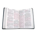 Biblia Reina Valera 1960 Grande Letra Gigante Imitación Piel Turquesa Oscuro [RVR085cLGIPJR SL] 