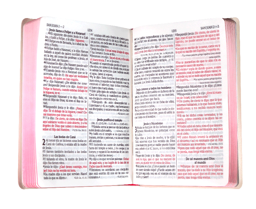 Biblia Reina Valera 1960 Letra Grande Rosa [RVR062cLGPJR]