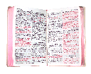 Biblia Reina Valera 1960 Letra Grande Rosa [RVR062cLGPJR]