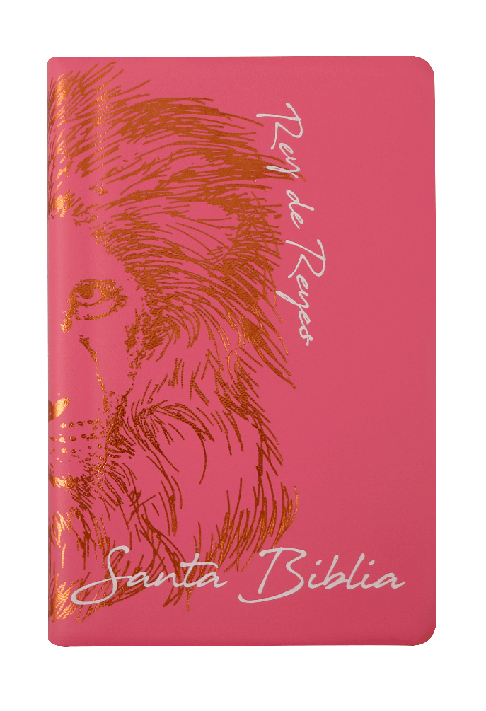 Biblia Reina Valera 1960 Letra Grande Rosa [RVR062cLGPJR]