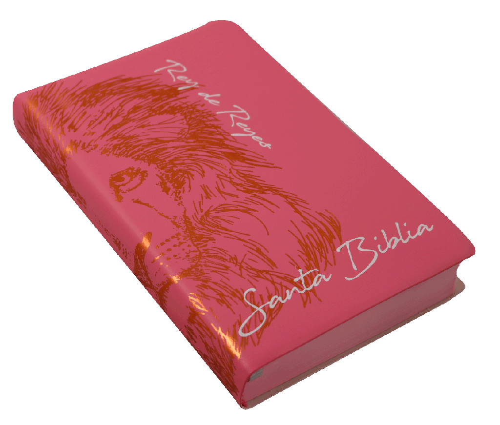 Biblia Reina Valera 1960 Letra Grande Rosa [RVR062cLGPJR]