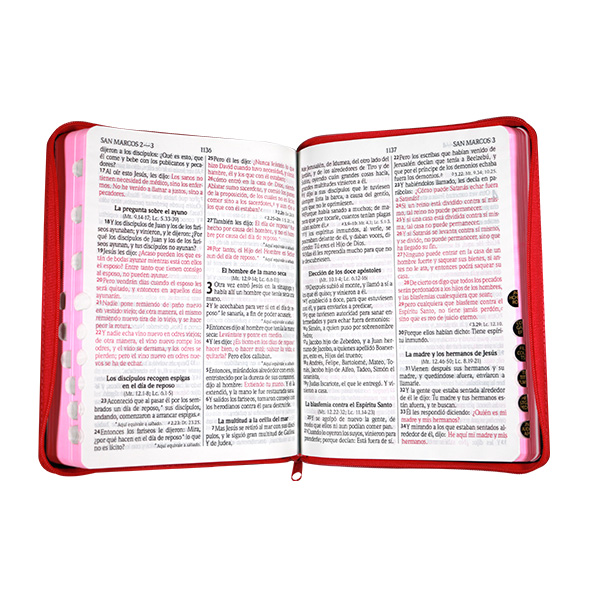 Biblia Reina Valera 1960 Grande Letra Gigante Mezclilla Rosa [RVR084CLGIPJRTIZA]