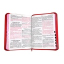 Biblia Reina Valera 1960 Grande Letra Gigante Mezclilla Rosa [RVR084CLGIPJRTIZA]