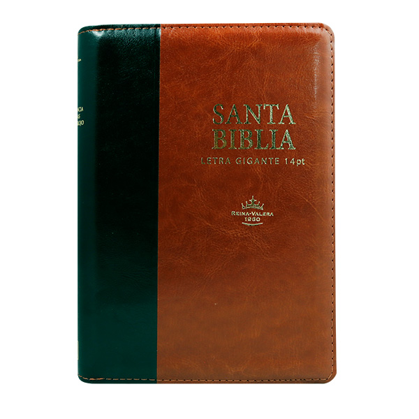Biblia Reina Valera 1960 Mediana Letra Gigante Imitación Piel Negro/Marrón [RVR066cLSGiPJRZTI]