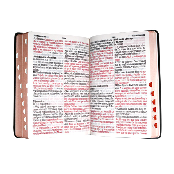 Biblia Reina Valera 1960 Grande Letra Super Gigante Vinil Negra [RVR082cLSGiPJRTI]