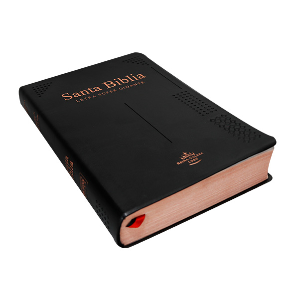 Biblia Reina Valera 1960 Grande Letra Super Gigante Vinil Negra [RVR082cLSGiPJRTI]